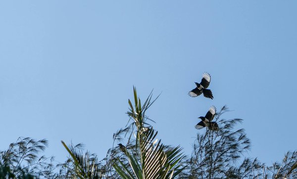 Les aides à domicile pour seniors et le sommeil : tout à savoir