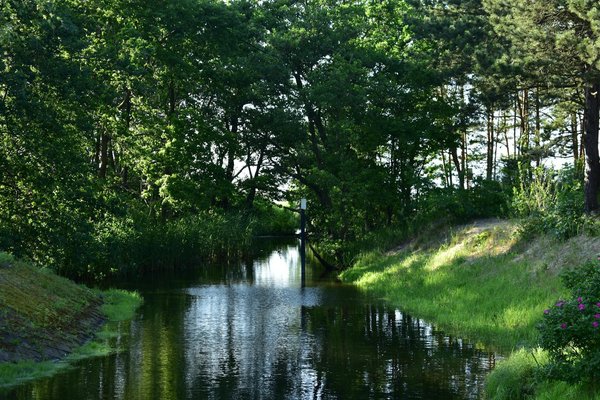 Stress et santé masculine: Comprendre pour mieux gérer